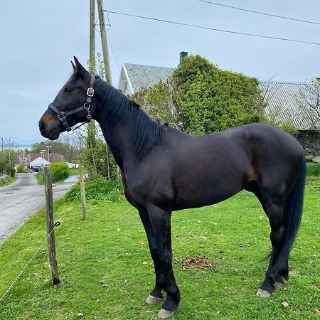 Shared Farmhouse Stavanger Eksteriør bilde