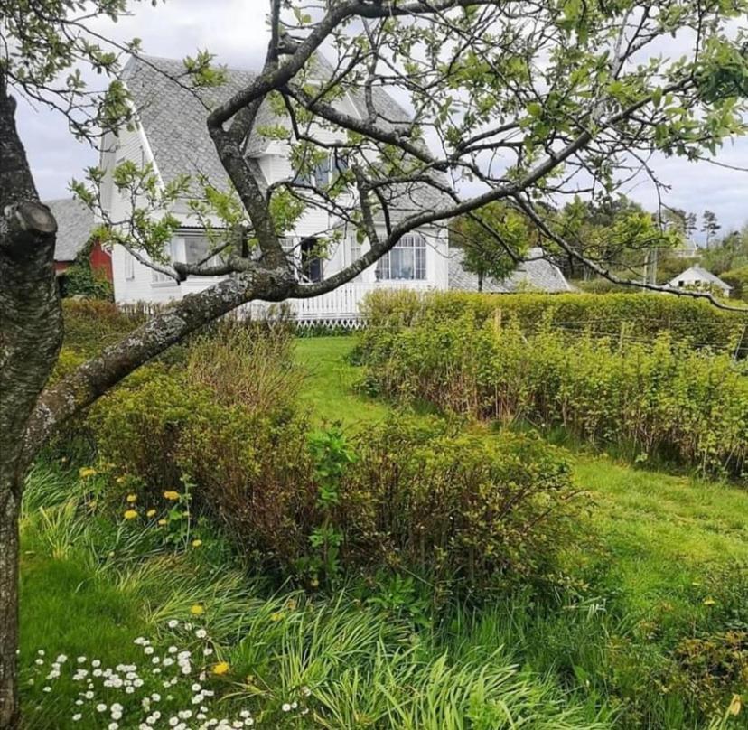 Shared Farmhouse Stavanger Eksteriør bilde