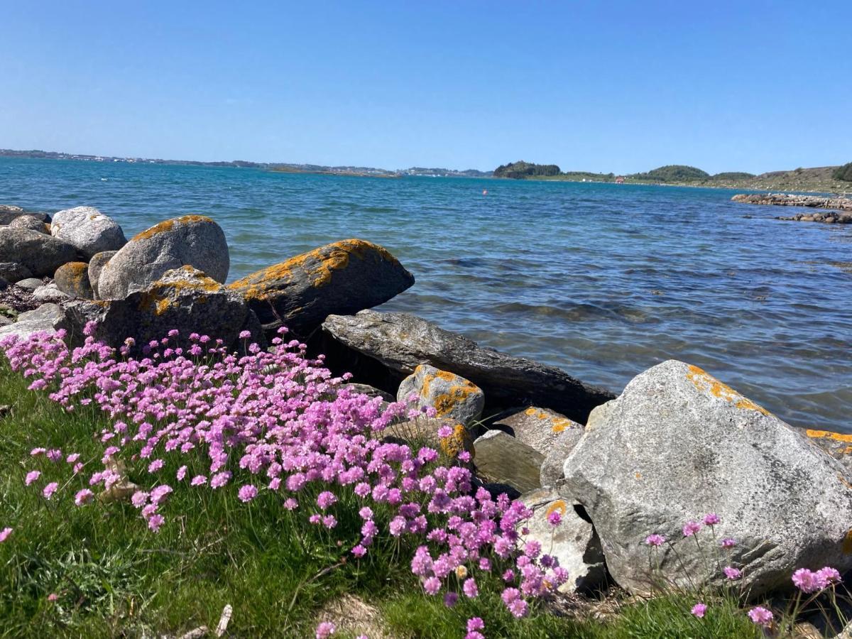 Shared Farmhouse Stavanger Eksteriør bilde