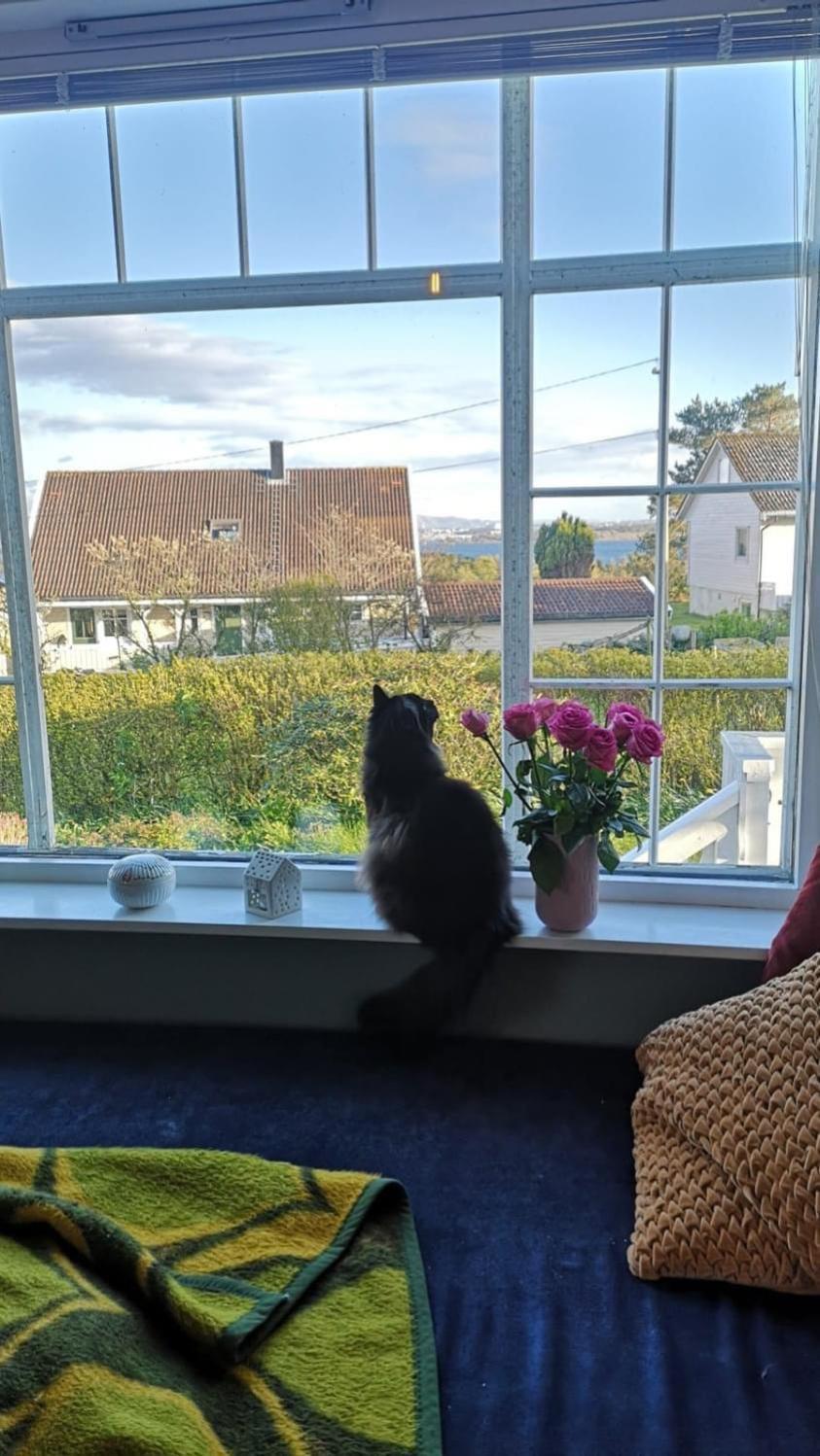 Shared Farmhouse Stavanger Eksteriør bilde